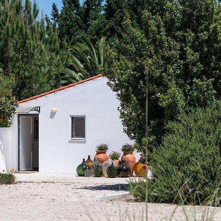 סלווטרה דה מאגוס Sete Quintas Country House מראה חיצוני תמונה