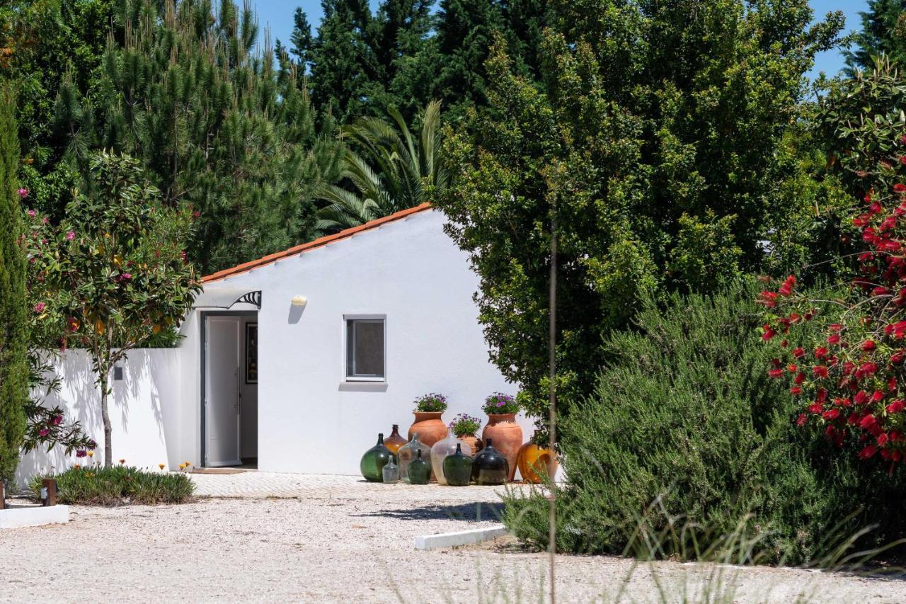 סלווטרה דה מאגוס Sete Quintas Country House מראה חיצוני תמונה